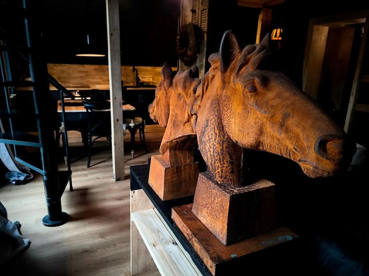 Black Horse Karpacz Polsko